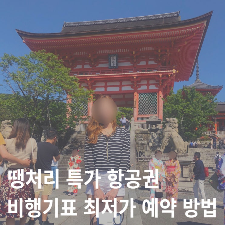  마이리얼트립 항공권 땡처리 특가 비행기표 최저가 예약 꿀팁 총정리