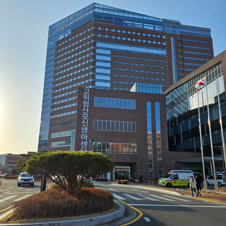  임신 26주 5일 계명대 대구 동산병원 산부인과 전원 고위험임신 첫 외래진료 후기