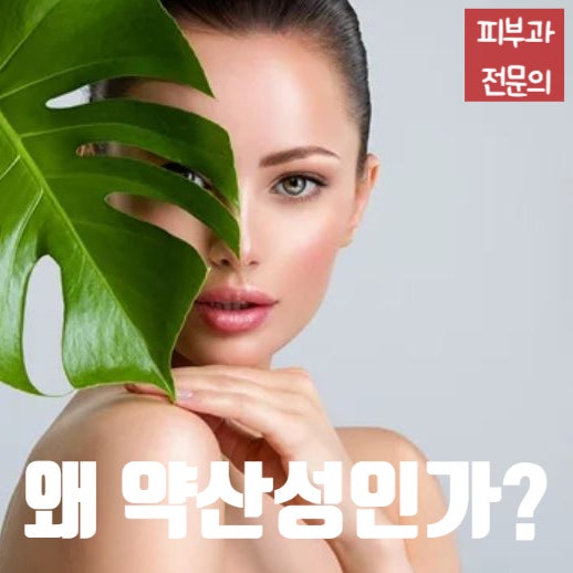  피부과의사들이 약산성을 강조하는 이유, 왜 약산성인가? (피부의 pH)