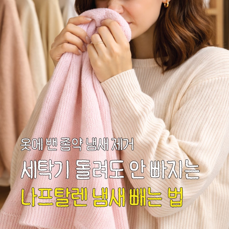옷에 밴 나프탈렌 냄새 빼는 법, 무작정 세탁기 돌리면 절대 안 빠집니다! (좀약 냄새 제거)