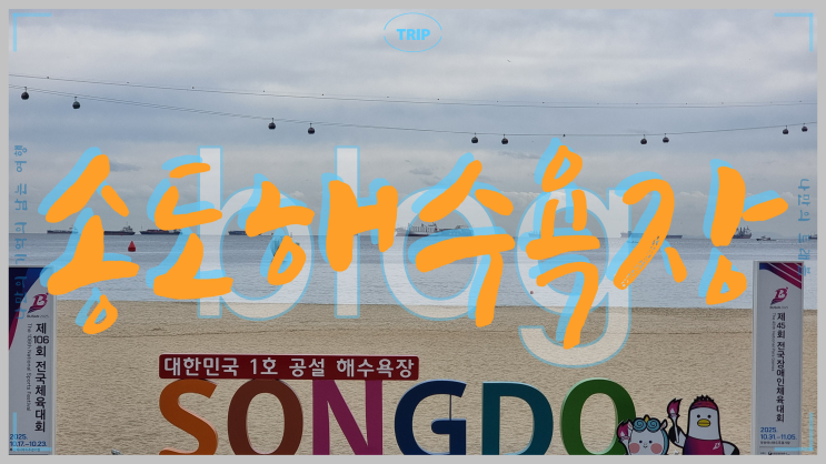  대한민국 최초 공설해수욕장 부산 송도해수욕장 구름 산책로 거북 섬 해상 케이블카 주변 관광명소