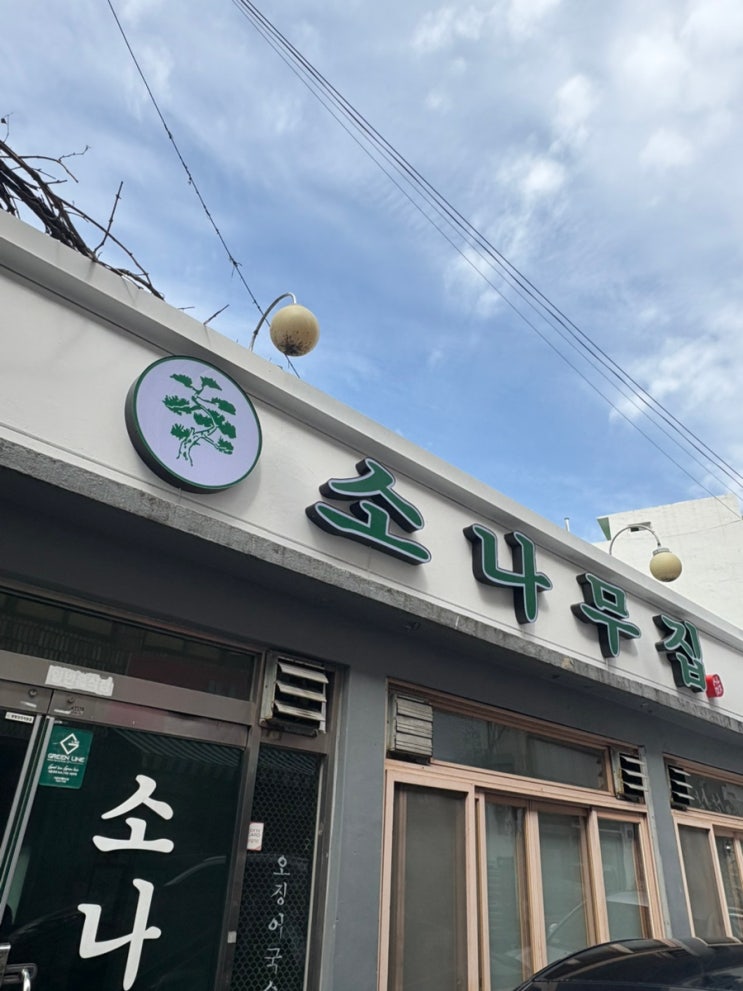  [대전] 소나무집 방문 후기 (오징어찌개, 두부 부침, 대전 점심 추천) | 
