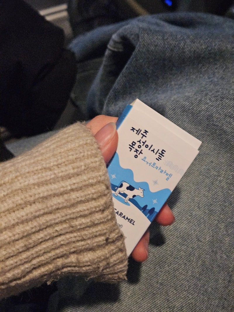 영풍문고에서 산 제주 성이시돌목장 요거트카라멜