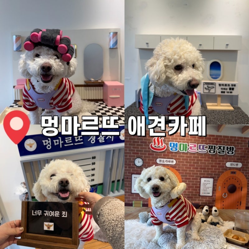 멍마르뜨 애견카페