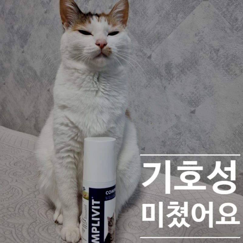 고양이 강아지종합영양제 추천,  벳플러스 콤플리비트 30년1위 이유