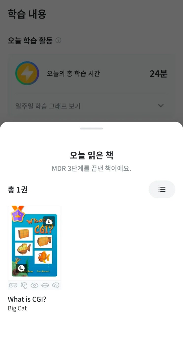  리딩앤 빅캣리더스 엄마표 영어원서읽기 윤설 제임스 에이미맘 미라클 모닝