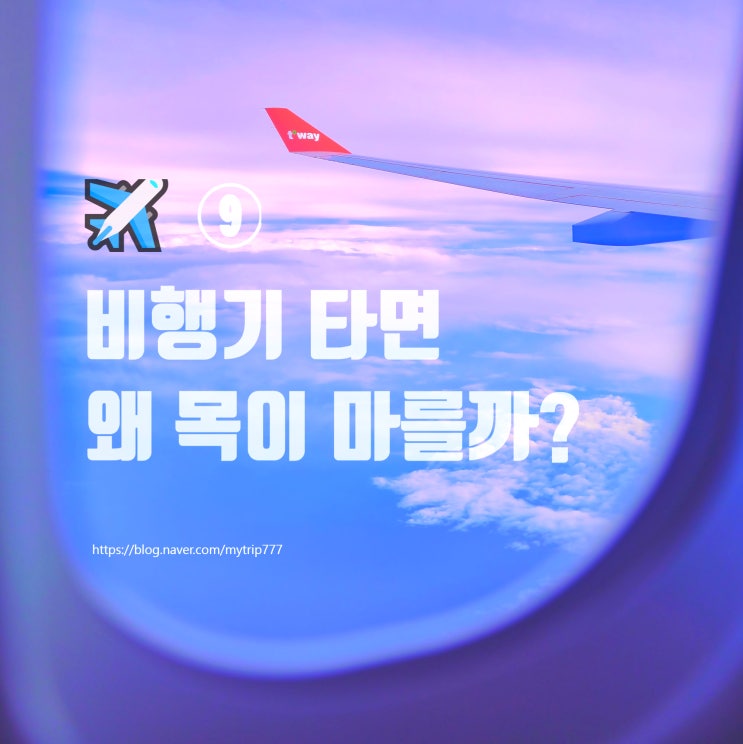  ️ ⑨ 얼렁뚱땅 여행 가이드｜기내가 유난히 건조한 이유 (목이 마르는 이유)