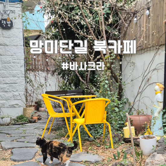  부산 망미단길 카페 바사크라｜조용히 책 읽기 좋은 부산 수영구 북카페
