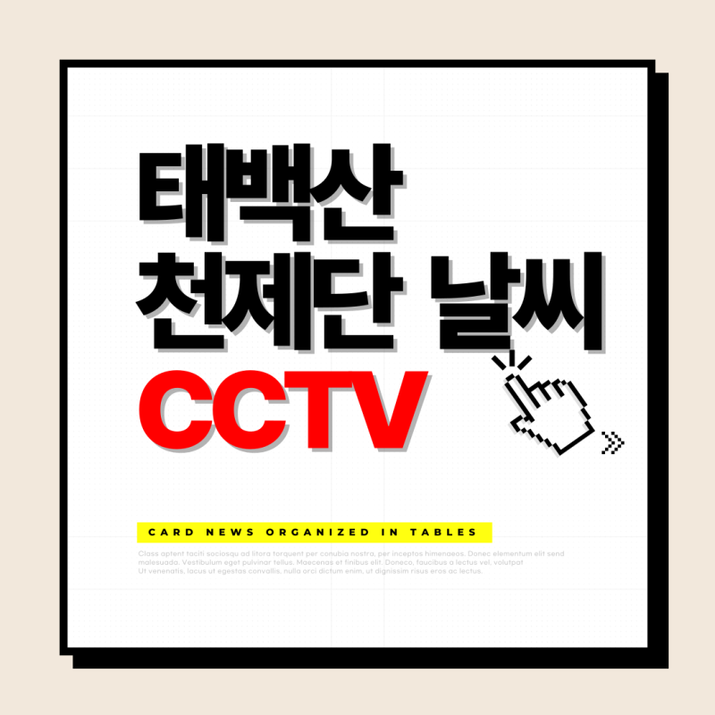 태백산 국립공원 천제단 실시간 CCTV 날씨 영상 실시간보기 등산코스
