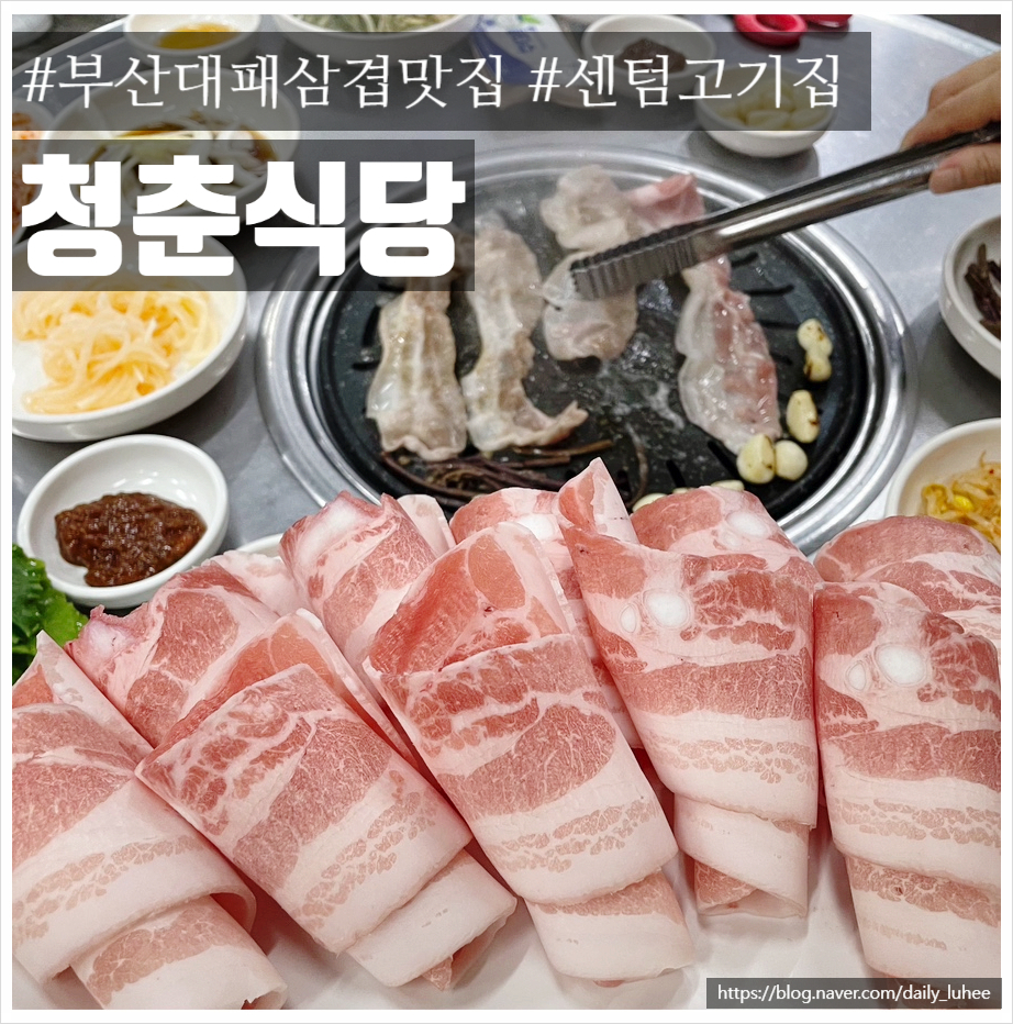 청춘식당 사진 1