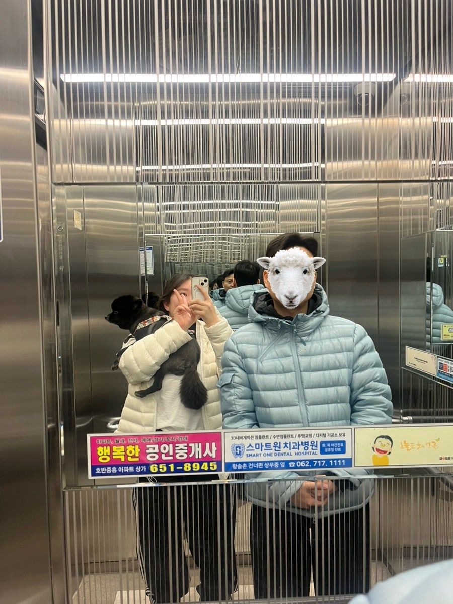스테이 잔잔 사진 3