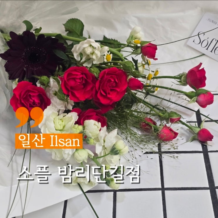  일산 꽃집 기념일 꽃다발 소플 밤리단길점