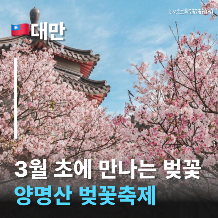  3월 대만 여행 필수! 2026 양명산 꽃 축제 제대로 즐기는 법! 양명산 온천
