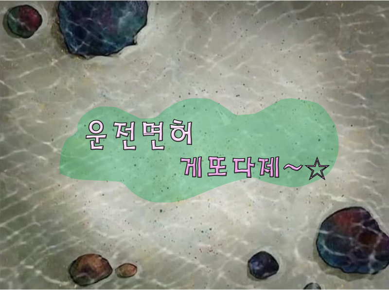 운전면허 게또다제~☆ (대전대성자동차운전전문학원, 필기부터 도로까지 한번에 쓰껄. ., 휴!....