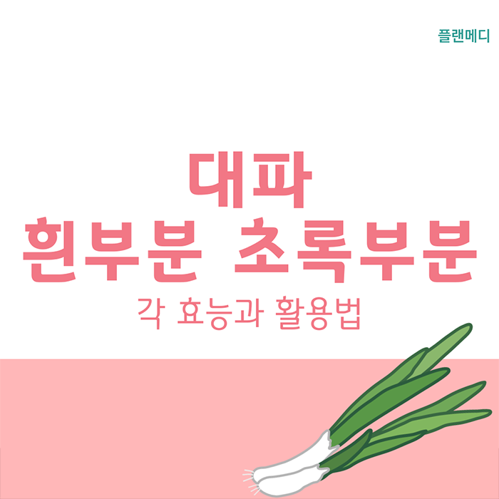 대파 흰부분 파란 초록부분 활용법은? 각 효능과 차이법 요리!