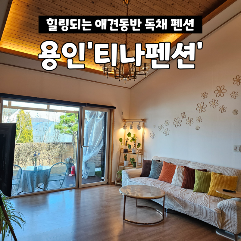 사진 3