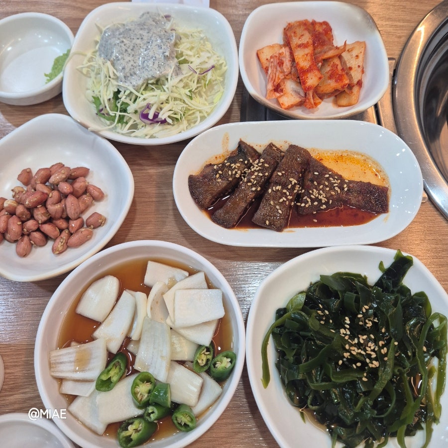 울진미가 사진 6