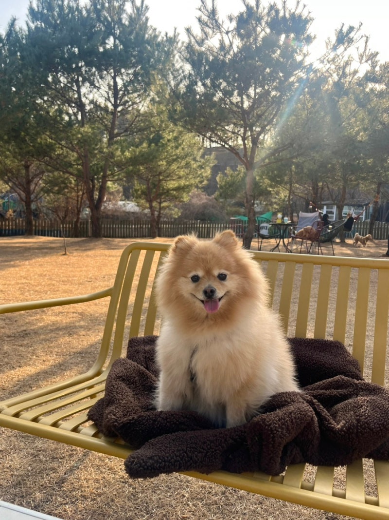 사진 7