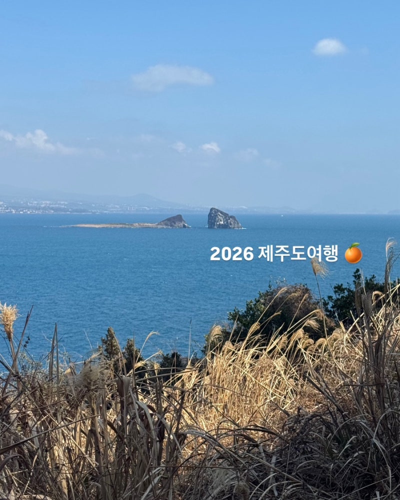 제주도 봄 여행 코스 추천: 초보자를 위한 2박 3일 필수 동선