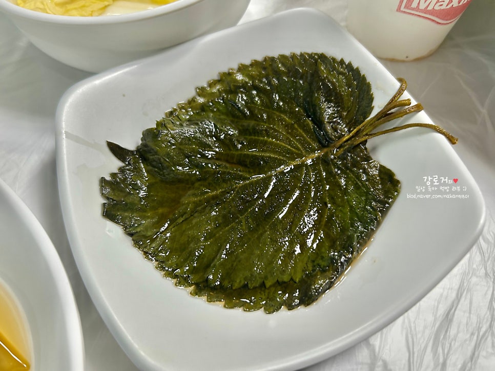 진안꽃돼지 사진 6