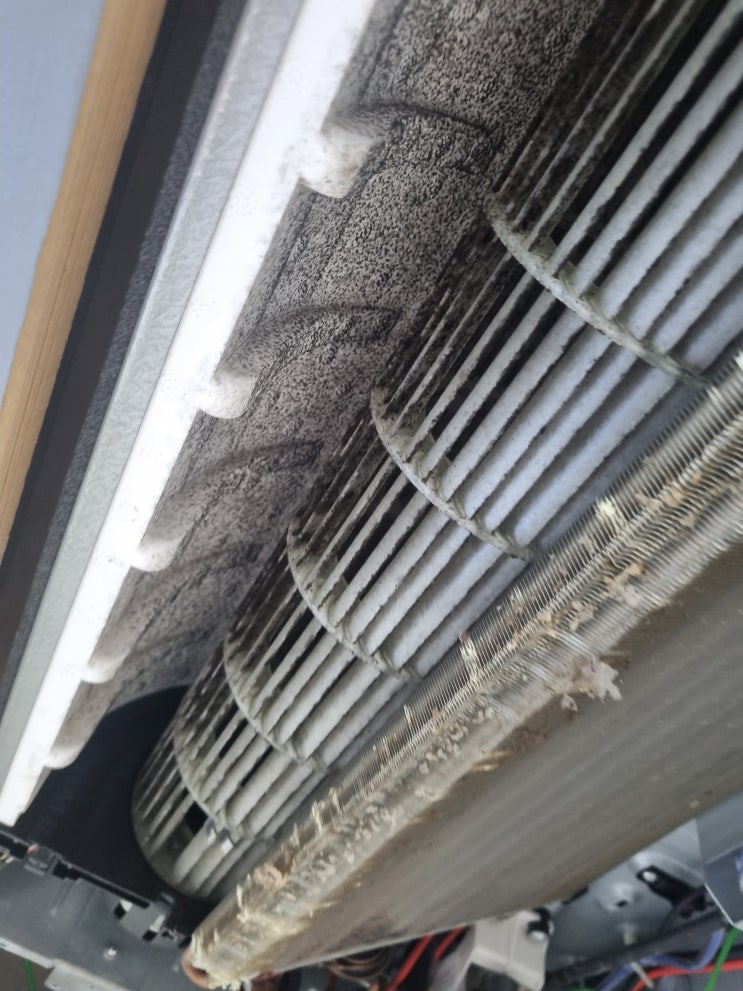  부산 연지 에어컨 청소 복층 오피스텔 에어컨의 반전: "사장님, 송풍팬이 원래 하얀색이었나요?"