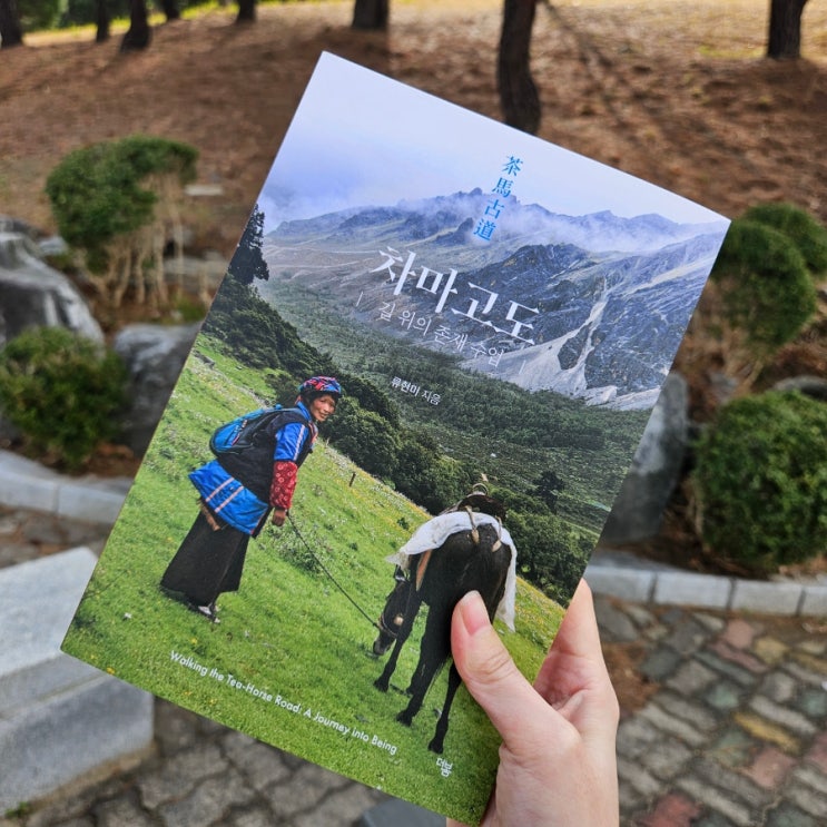  차마고도 나는 지금 어디로 가고 있는가 텍스트힙 나의 독파민