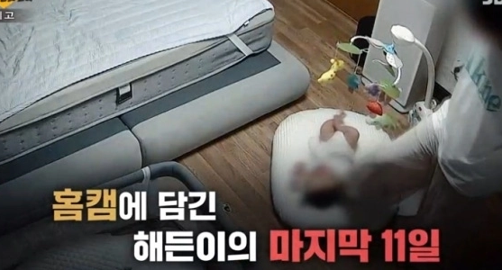  여수 해든이 사건 그알 충격 실태와 신상 공개 처벌 수위
