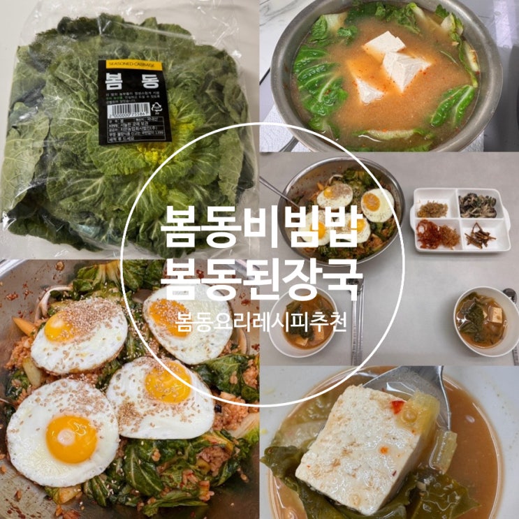  집밥 봄동레시피 초간단 맛보장 봄동비빔밥 레시피 봄동 된장국 레시피 (feat. 트레이더스 봄동)