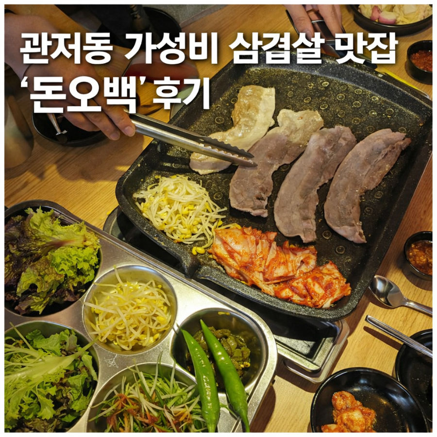 돈오백 사진 1
