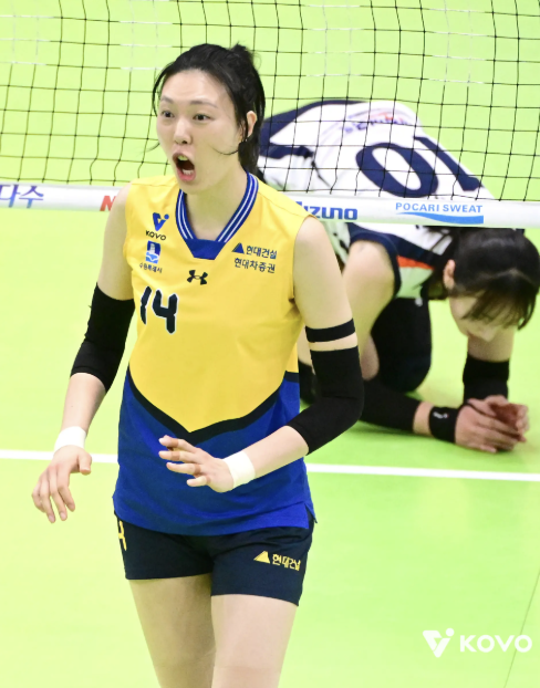 양효진 은퇴 확정된 여자배구 현대건설, 다음시즌 폭망 막으려면 FA 정호영 영입에 올인해야