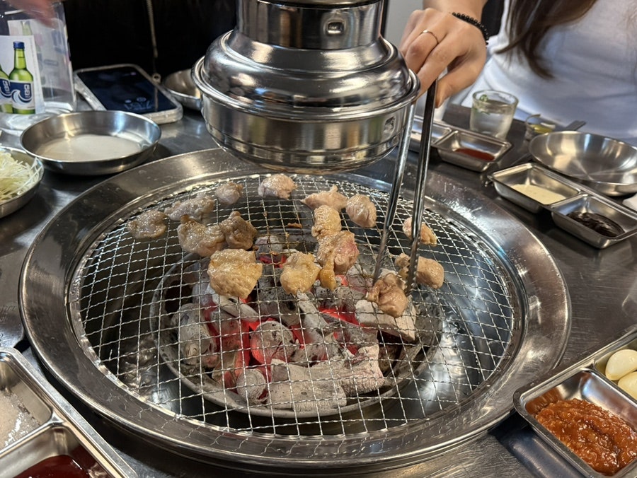 닭두꺼비 사진 6