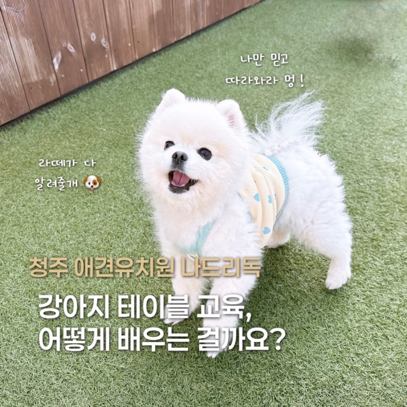 나드리독