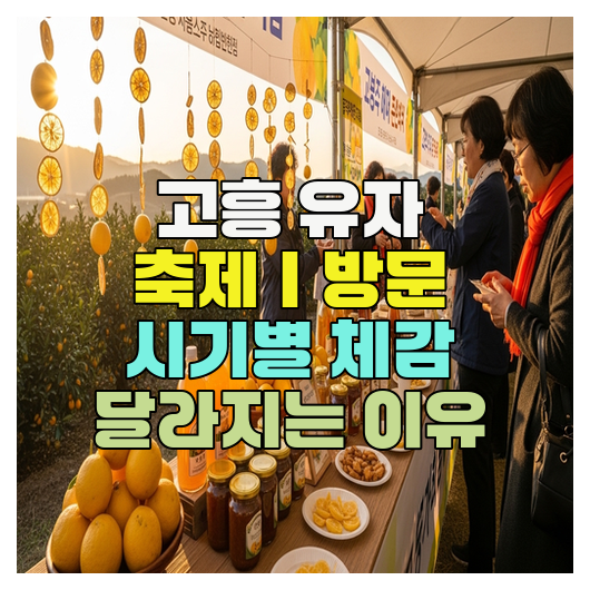  고흥 유자 축제｜방문 시기별 체감 달라지는 이유