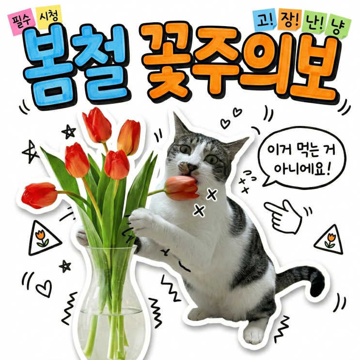  봄꽃 튤립 샀다가 고양이 응급실 갈 뻔? 집사살림 플랜테리어 주의보