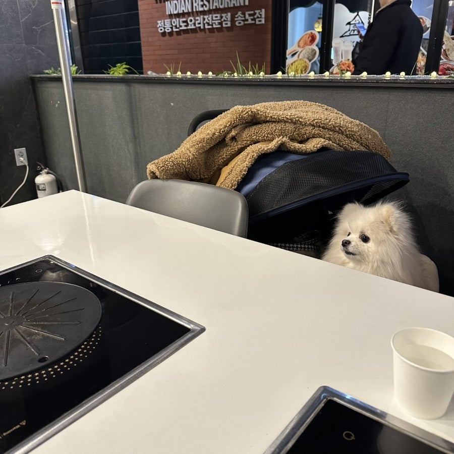 오름채 사진 3
