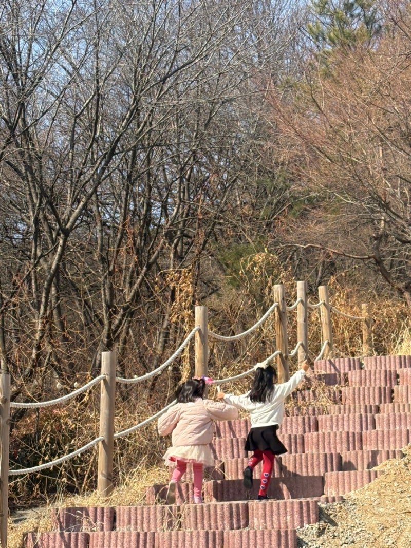 사진 5