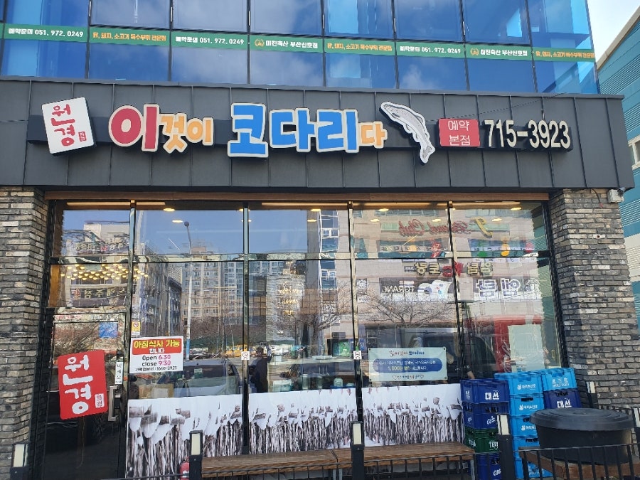 이것이코다리다 신호점 사진 2