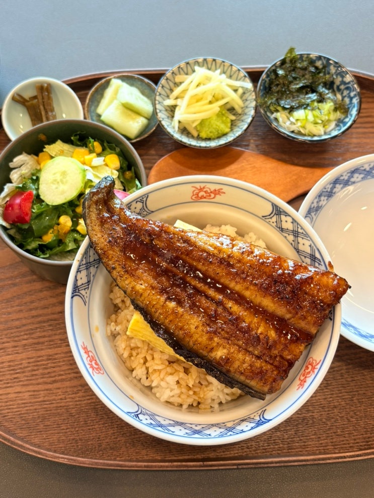  포항블루리본 맛집 장어덮밥 추천 장룡민물장어나라