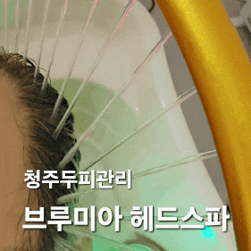  청주두피관리 고민이라면? 브루미아 헤드스파 솔직 후기