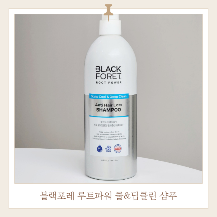  대다모 1위 두피 스케일링 샴푸 블랙포레 루트파워 쿨 앤 딥클린