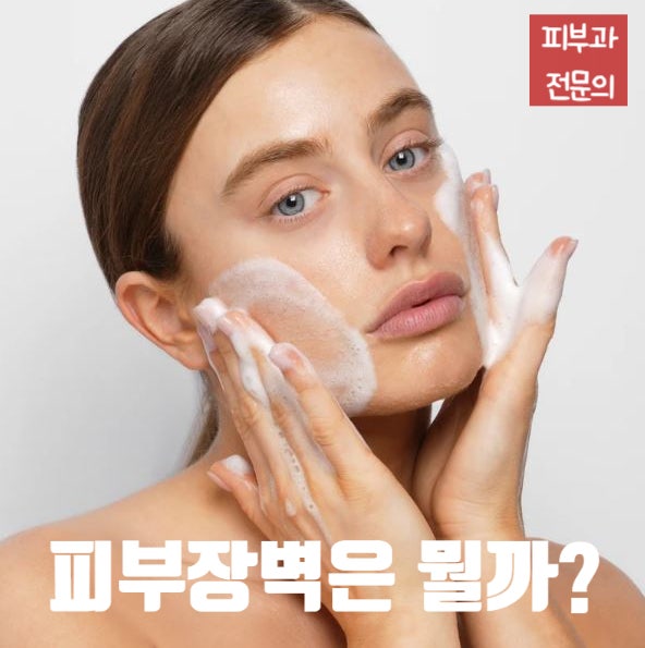  피부장벽(Skin barrier)이 바로 각질이라구? 각질제거를 권하지 않는 이유