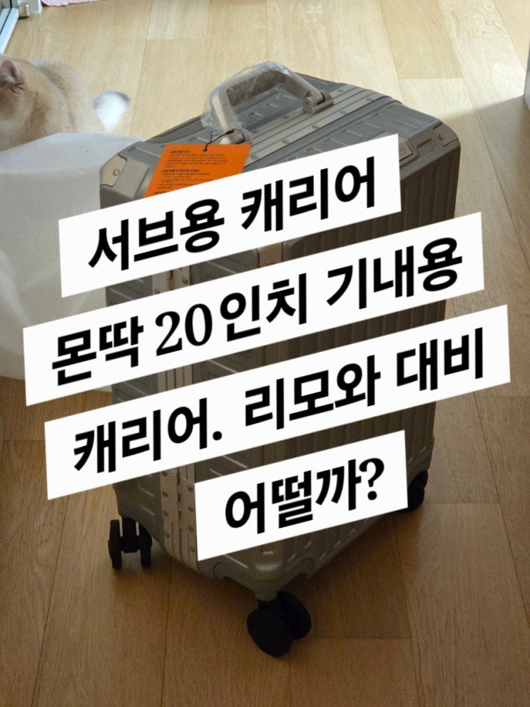  리드볼트 몬딱 (리모와랑 비교해서 어떨까?)