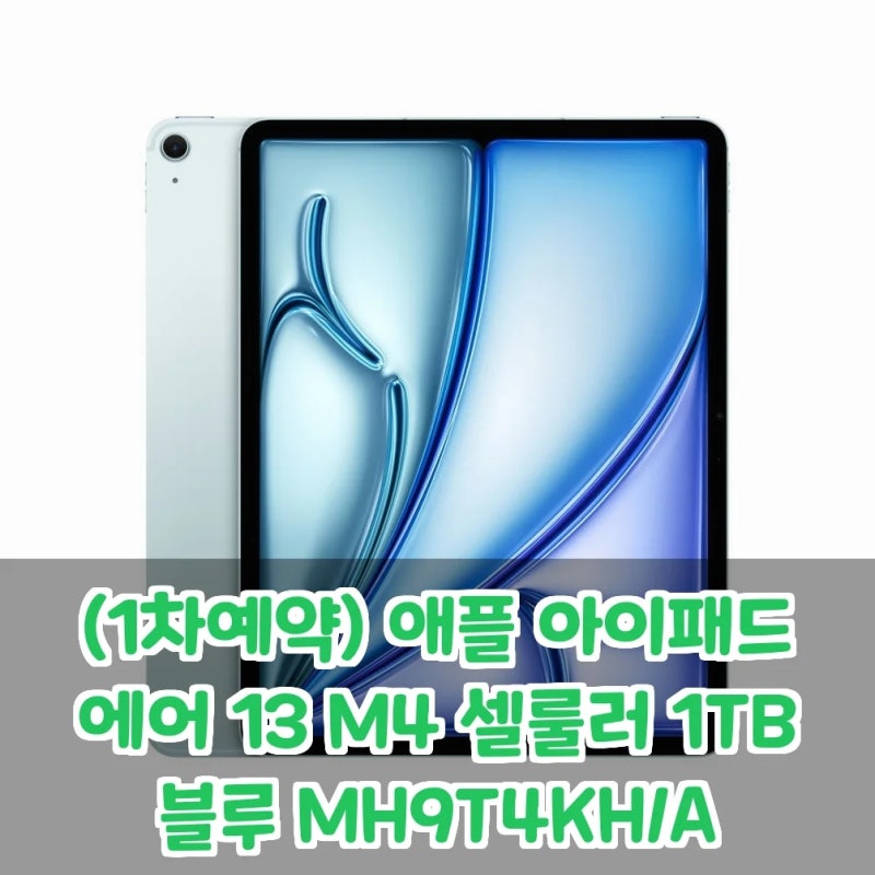 애플 아이패드 에어 13 M4 셀룰러 1TB, 이 성능에 놀라운 가격이라니!