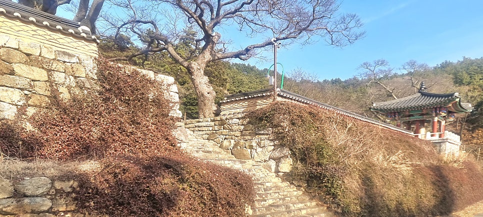 강산 사진 4