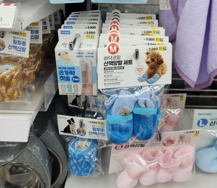  다이소 강아지 산책 신발 양말 애견용품 어떨까?