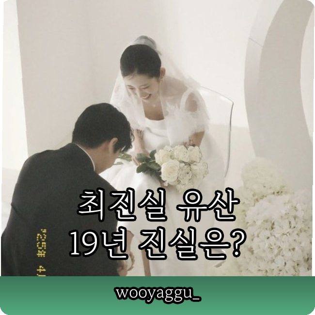 최진실 유산 300억 논란 19년 만에 밝혀진 충격 전말???