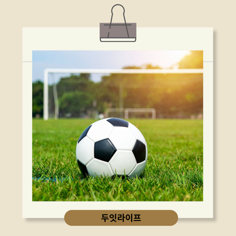 축구공 야구공 농구공 볼링공 버리는법, 공마다 달라요