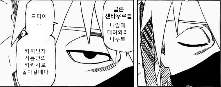쿼드코텍스 구매 후기(2026년 최신)