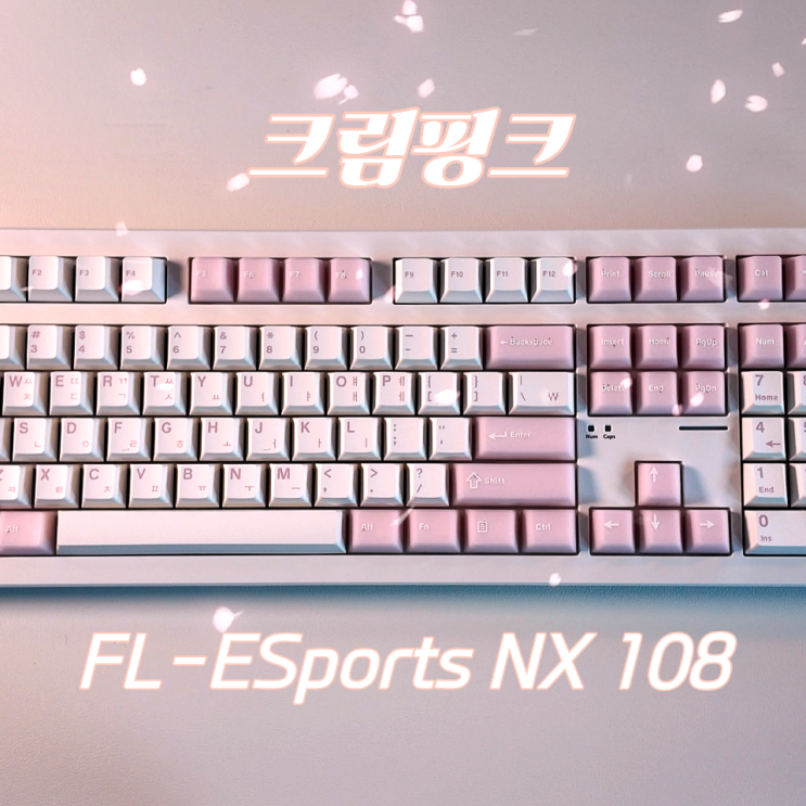 저소음 키보드 가성비 미친 FL-ESPORTS NX 108 크림핑크 저소음 스노우 축 리뷰