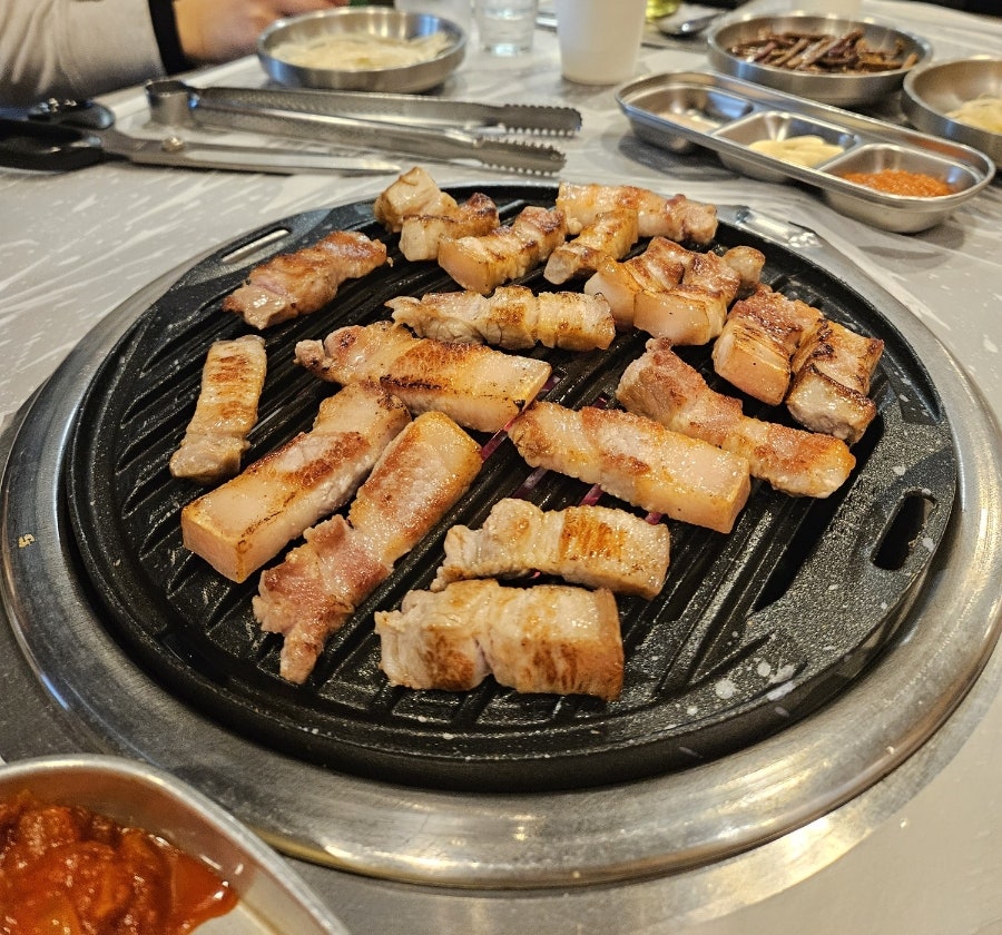 두텁돼지 사진 1